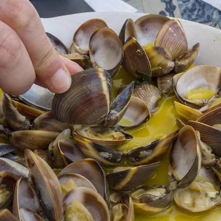 B02 - Sandy Portimão